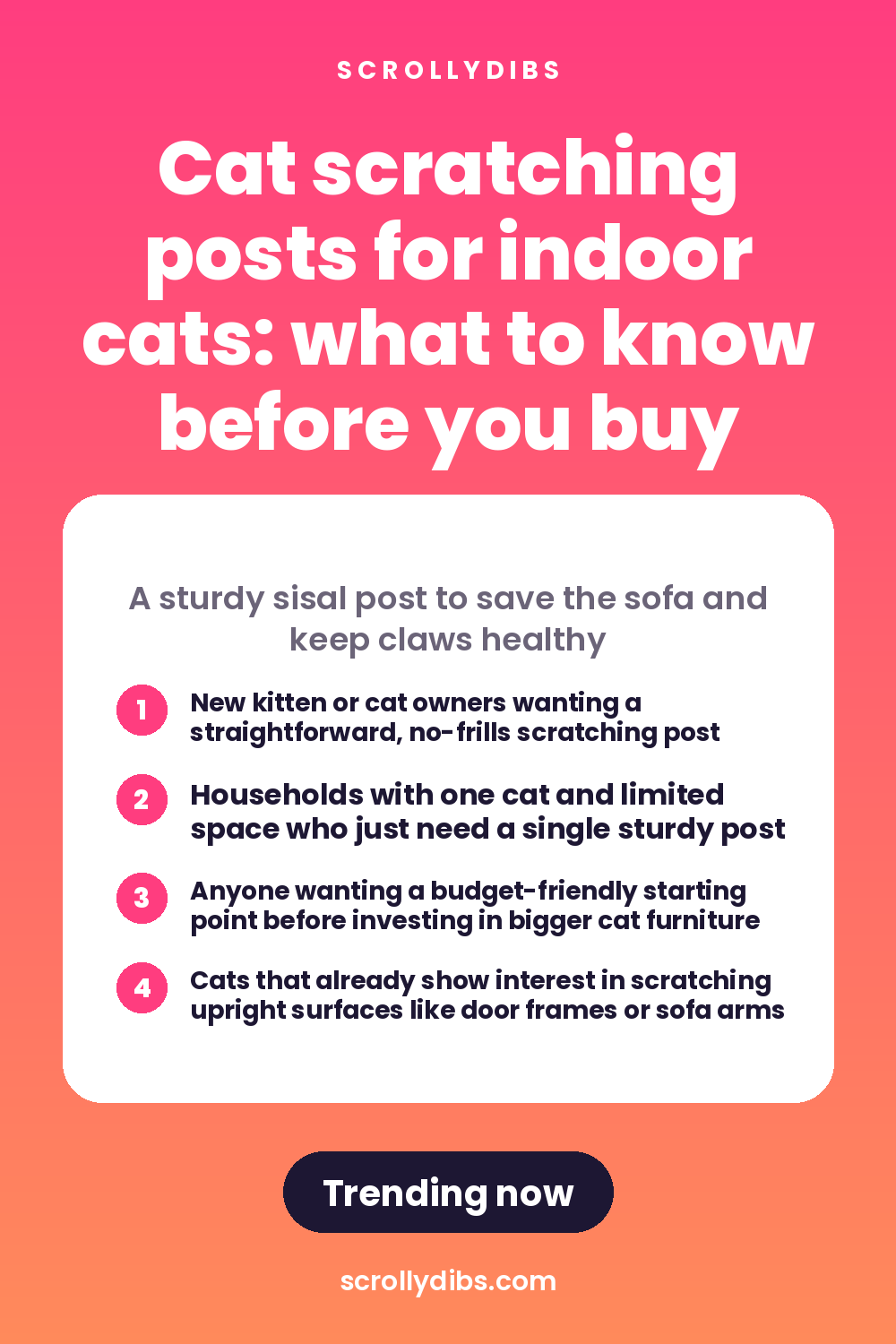 Cat scratching posts for indoor cats: what to know before you buy